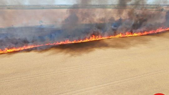 17 jednostek straży pożarnej gasiło pożar w Otocznej (galeria)