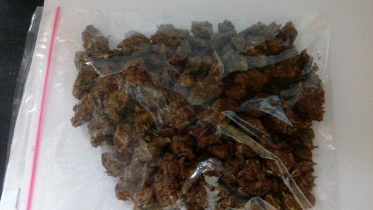50 gramów marihuany na Kutrzeby