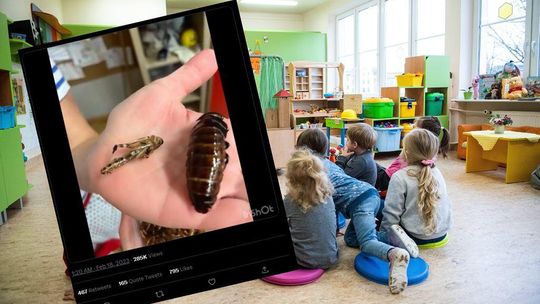 Afery robaczanej ciąg dalszy. Rodzice murem za dyrekcją przedszkola