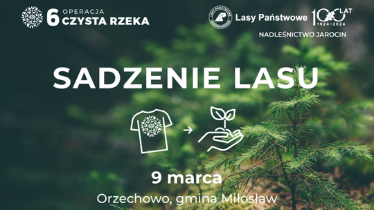 Będzie zielono w gminie Miłosław. Zasadzą las bukowy