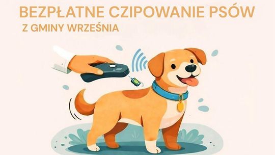 Bezpłatne czipowanie psów we Wrześni. Kilka sekund dla bezpieczeństwa pupila