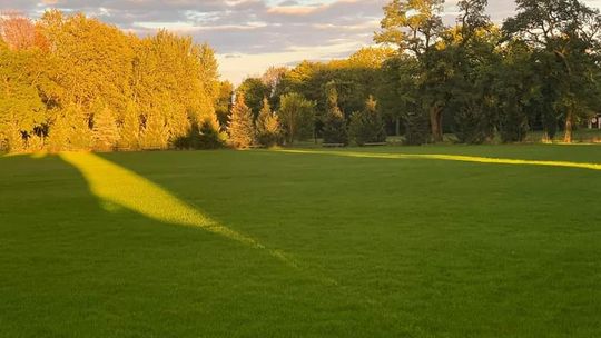 Boisko jak się patrzy! Piłkarze wybiegną na nie dopiero na wiosnę