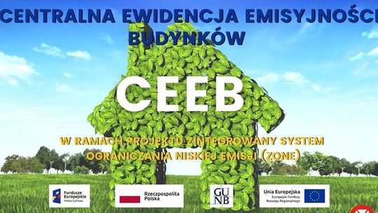 CEEB deklaracja - formularz, jak wypełnić?