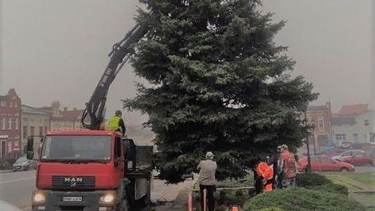 Choinka jak się patrzy! Rozbłyśnie już 7 grudnia