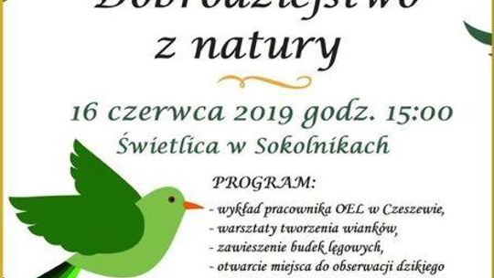 "Dobrodziejstwo z natury", czyli jak zrobić coś z niczego