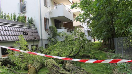 Drzewo uszkodziło blok przy Kościuszki