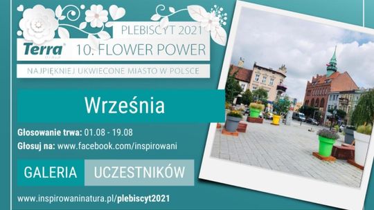 Flower Power 2021: zagłosuj na Wrześnie!