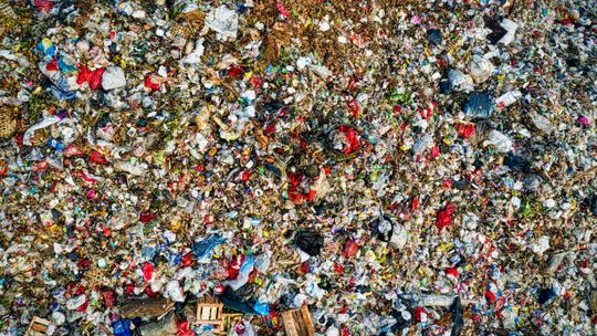 Gniezno podnosi opłatę za odbiór śmieci. Od kwietnia mieszkańcy zapłacą 39 zł od osoby Gniezno podnosi opłatę za odbiór śmieci. Od kwietnia mieszkańcy zapłacą 39 zł od osoby