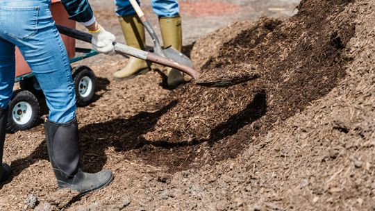 Jak wybrać dobry Big Bag?