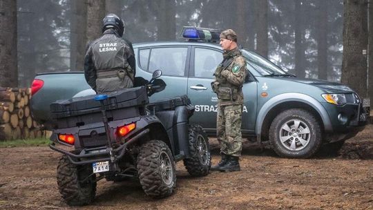 Jedziesz autem na grzyby? Uważaj, w lasach ruszają kontrole