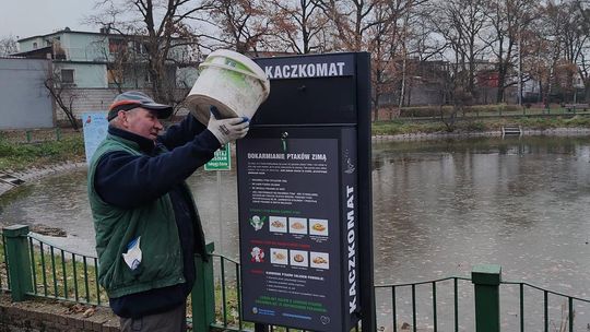 Kaczkomat dla łabędzia Edzia i innych ptaków