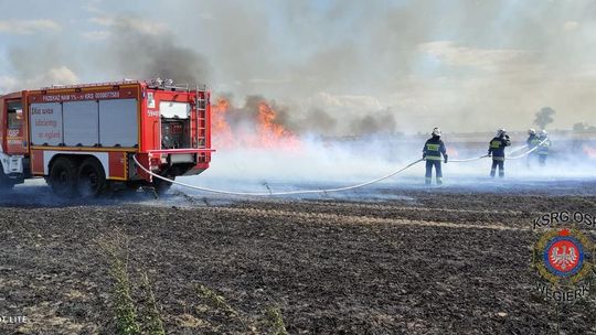 Kolejne pożary na polach w gminie Września