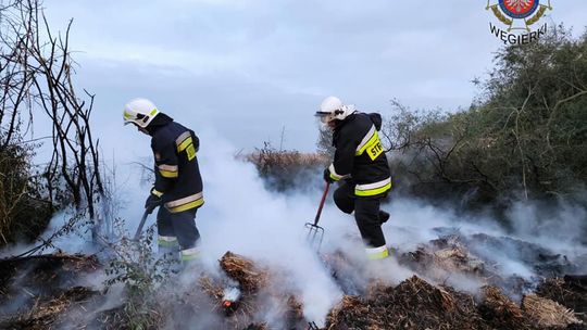 Ktoś podpalił trawę w Grzybowie