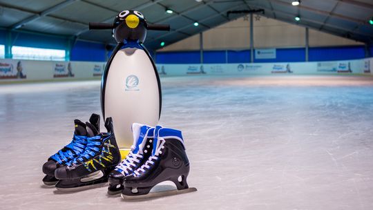 sztuczny pingwin na tafli lodowiska