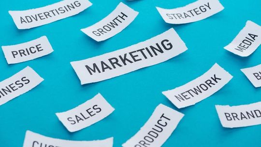 Marketing w sieci