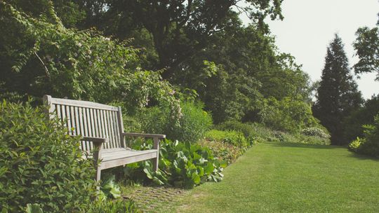 Mata wiklinowa – naturalna osłona i element aranżacji ogrodu