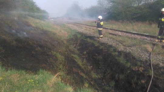 Nie wypalajcie traw - apelują strażacy