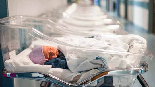 Pieniądze nie zwiększą liczby urodzeń. Trzeba  się otworzyć na inne rozwiązania