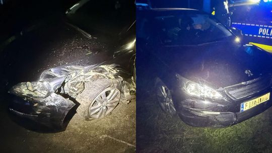 Pijany kierowca uciekał przed policją, rozbił auto i próbował zbiec pieszo. Miał blisko 3 promile alkoholu