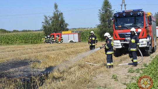 Plaga pożarów pól w regionie