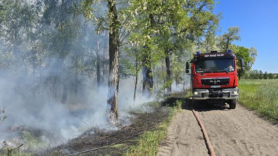 wóz strażacki na leśnej drodze i pożar lasu