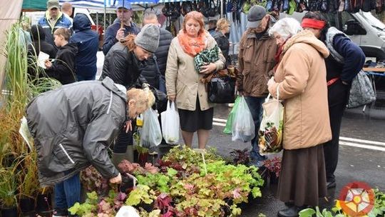 Przed nami największe targi w regionie. Zapisu już ruszyły