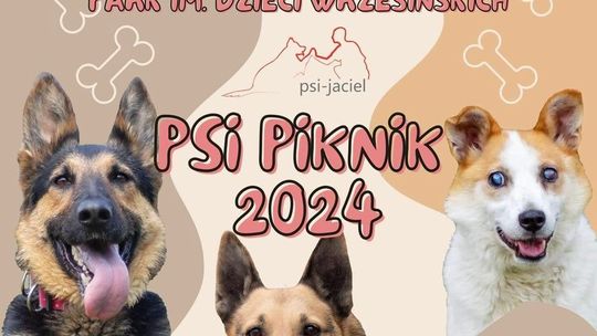 Psi Piknik znów we Wrześni. Można pomóc i dobrze się bawić