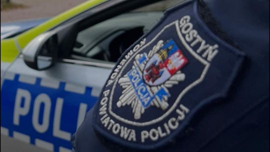 Psy zagryzły kota w gminie Gostyń. Właściciel ukarany mandatem