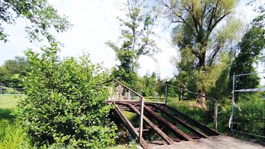 Remont Parku Piłsudskiego. Jak będą wyglądały nowe mostki?