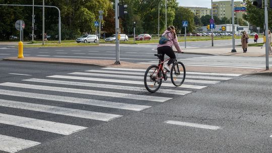 Rowerzysta na pasach. Mandaty za jazdę jednośladem