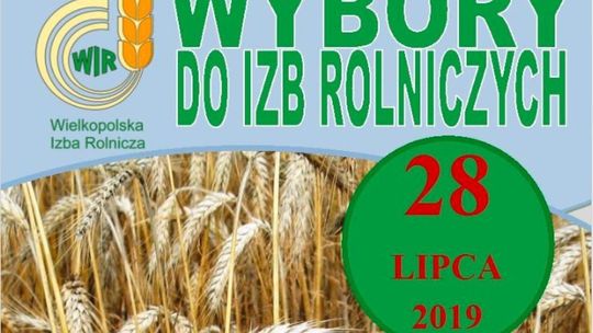 Sądny dzień dla 10 kandydatów. Mandatów jest tylko 6