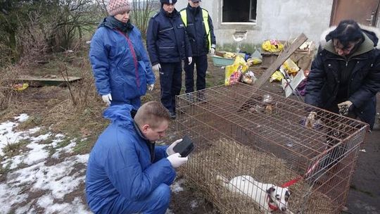 Skandaliczne warunki w "hotelu" dla zwierząt pod Pyzdrami