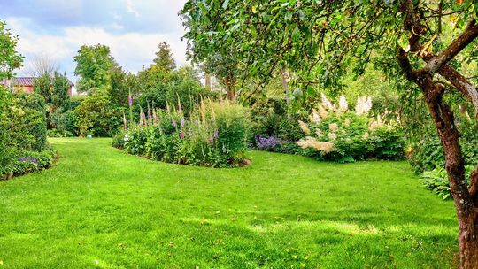 Sprawdzone sposoby na zacieniony ogród