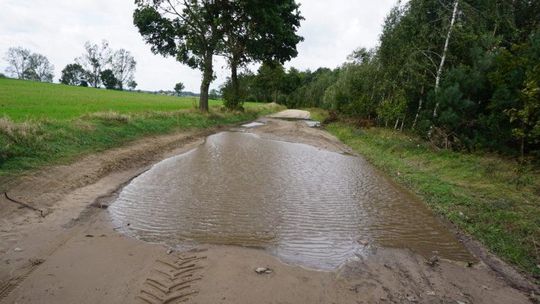 Starostwo: naprawimy drogę w Bardzie