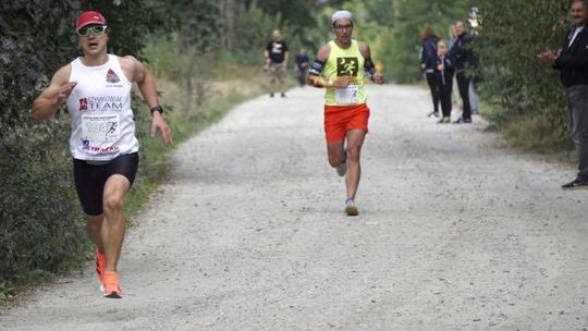 Stary Kosynier w nowej odsłonie. Leśne dukty zamiast asfaltu (galeria)