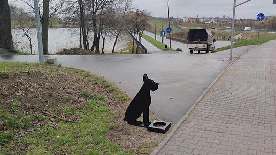 Trzy poidełka dla psów już stoją w Środzie Wlkp.