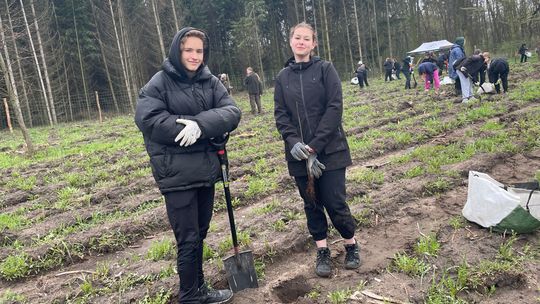 Uczniowie z ZSP we Wrześni zasadzili las na Dębinie