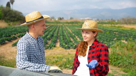 Usługi siewu i uprawy roli – praktyczny przewodnik dla rolników
