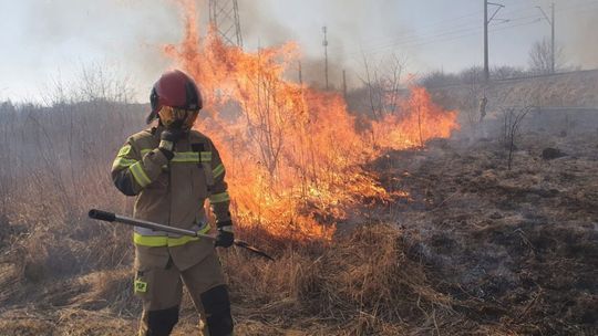 strażak w mundurze na tle pożaru traw
