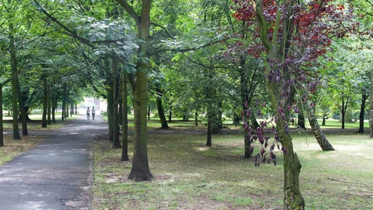 Września odnawia tereny rekreacyjne. Park i skwer czekają wielkie zmiany