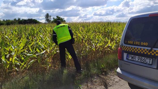 Wylewał ścieki w pole. Zapłacił mandat