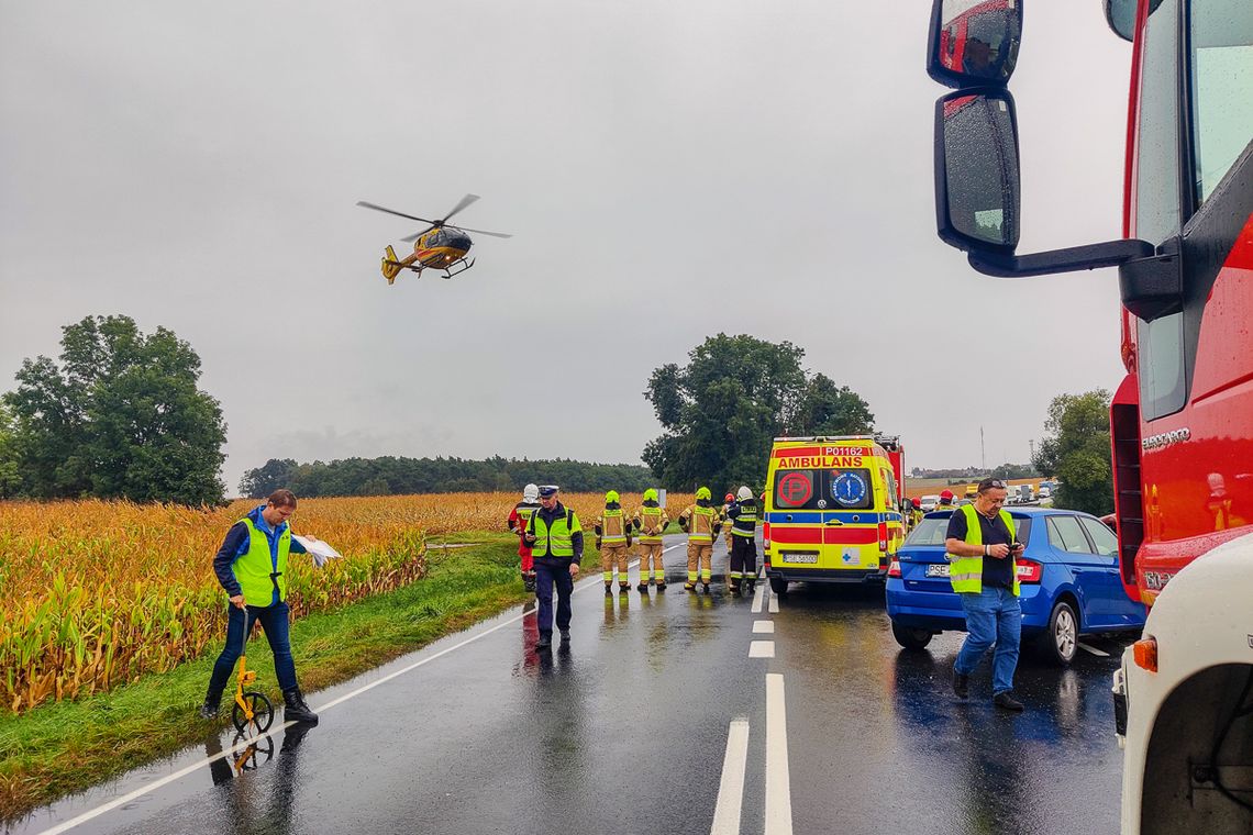 5-latka walczy o życie po fatalnym wypadku drogowym