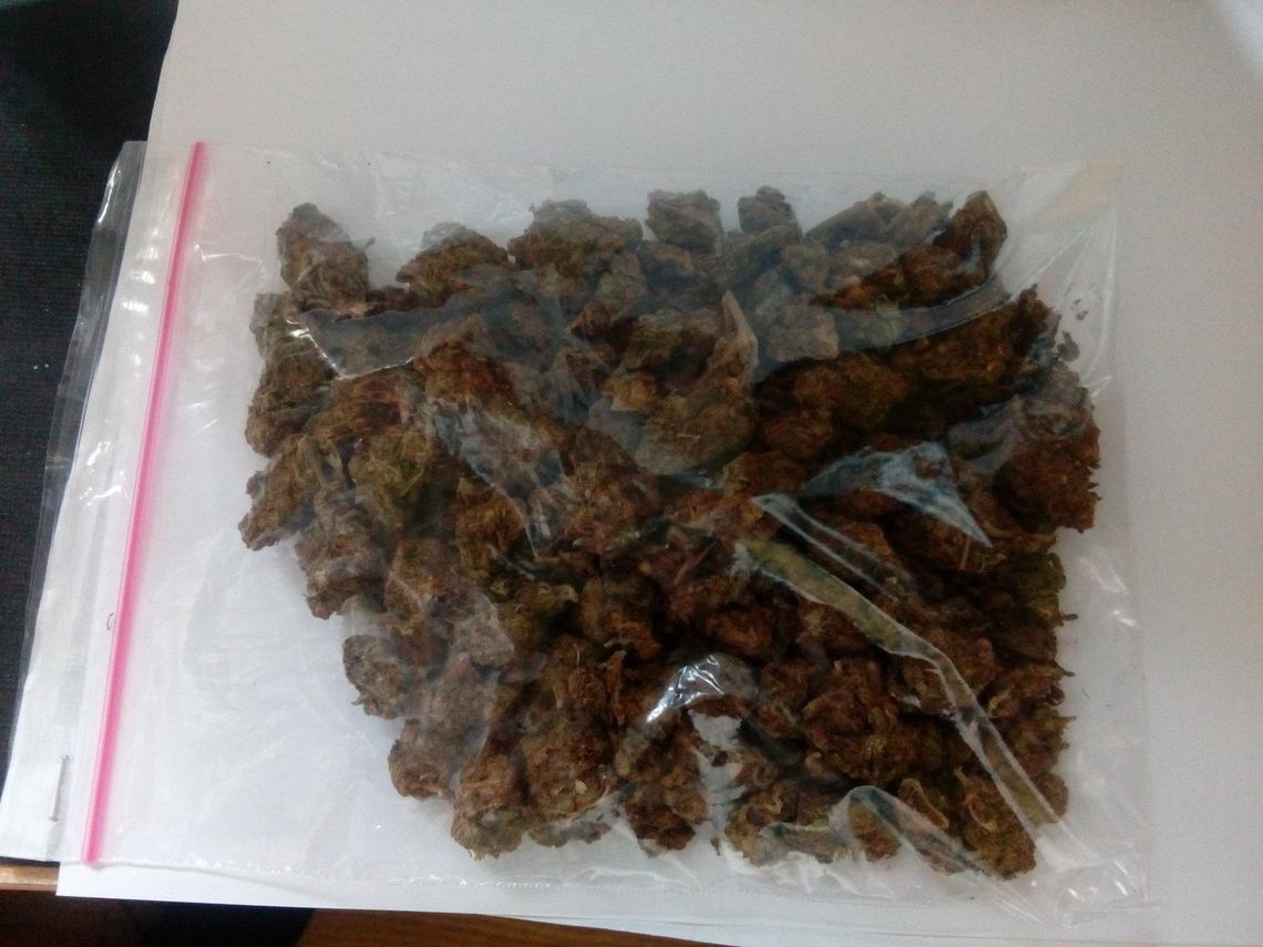 50 gramów marihuany na Kutrzeby