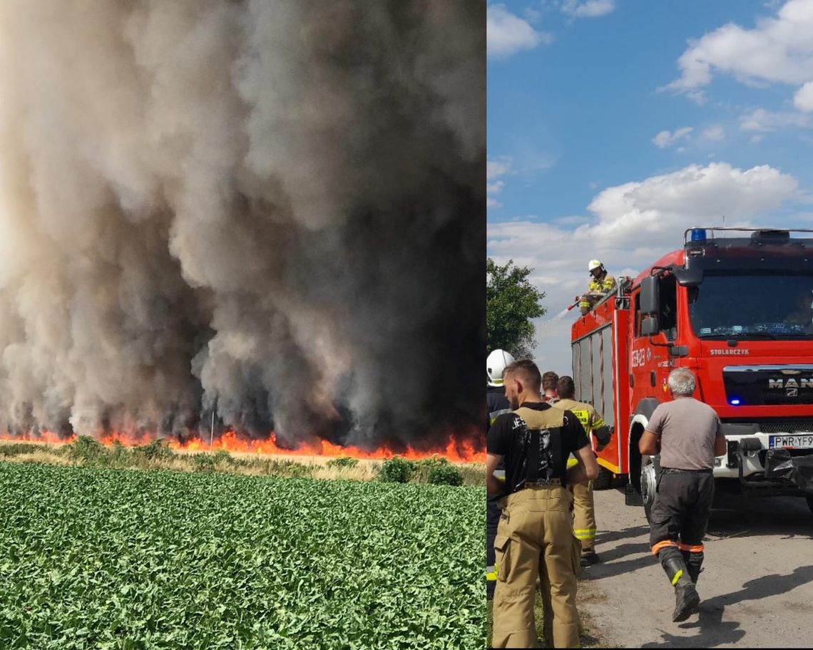 60 hektarów w ogniu, 16 zastępów w akcji. Pożar zboża w Lipiu