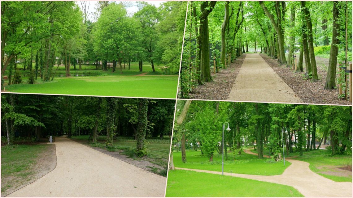 Będą zwiedzać park