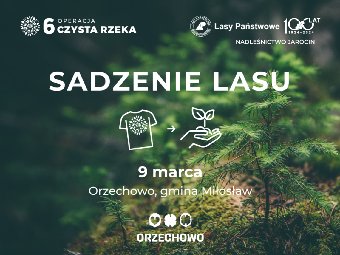Będzie zielono w gminie Miłosław. Zasadzą las bukowy