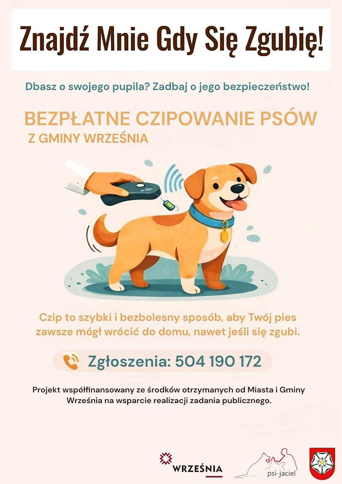 Bezpłatne czipowanie psów we Wrześni. Kilka sekund dla bezpieczeństwa pupila