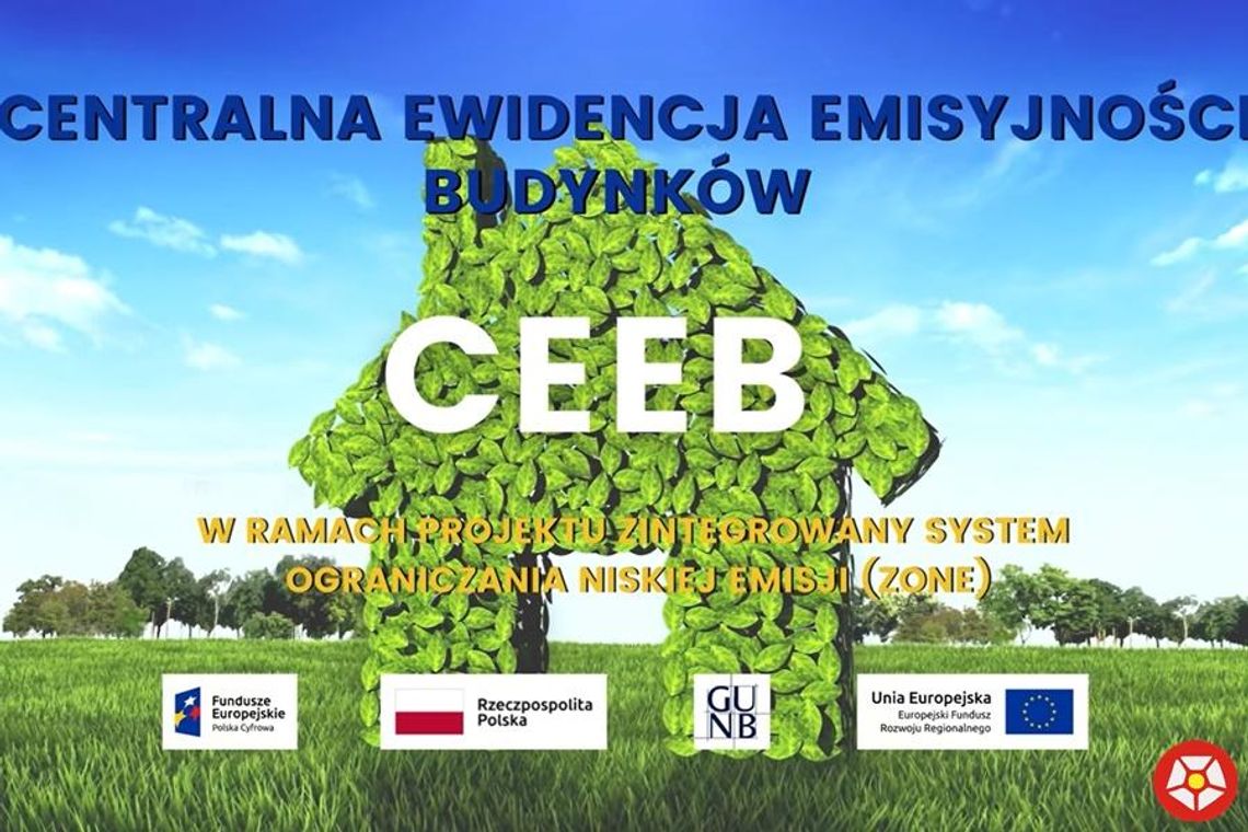CEEB deklaracja - formularz, jak wypełnić?