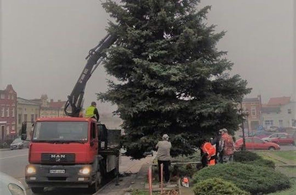 Choinka jak się patrzy! Rozbłyśnie już 7 grudnia