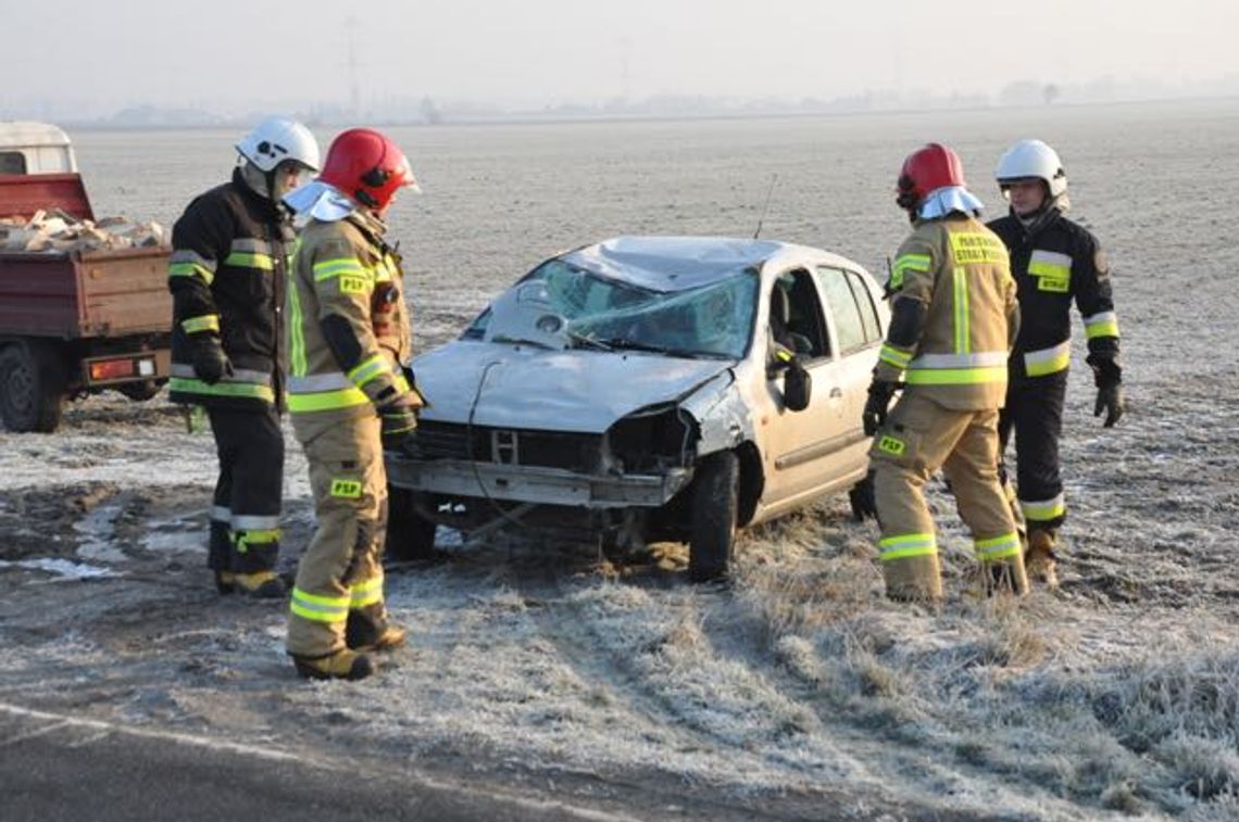 Clio w rowie, kierująca cała i zdrowa (galeria)